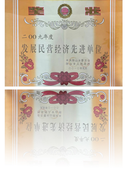 發(fā)展民營(yíng)經(jīng)濟(jì)先進(jìn)單位