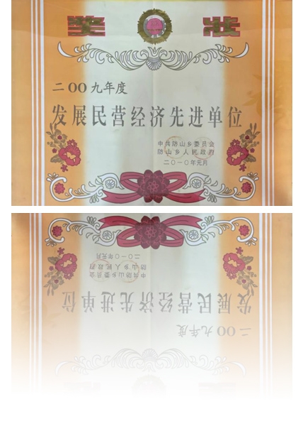 發(fā)展民營(yíng)經(jīng)濟(jì)先進(jìn)單位